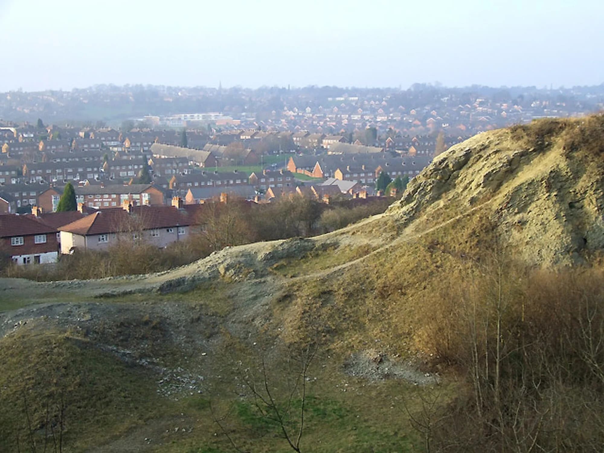 Vets in Dudley