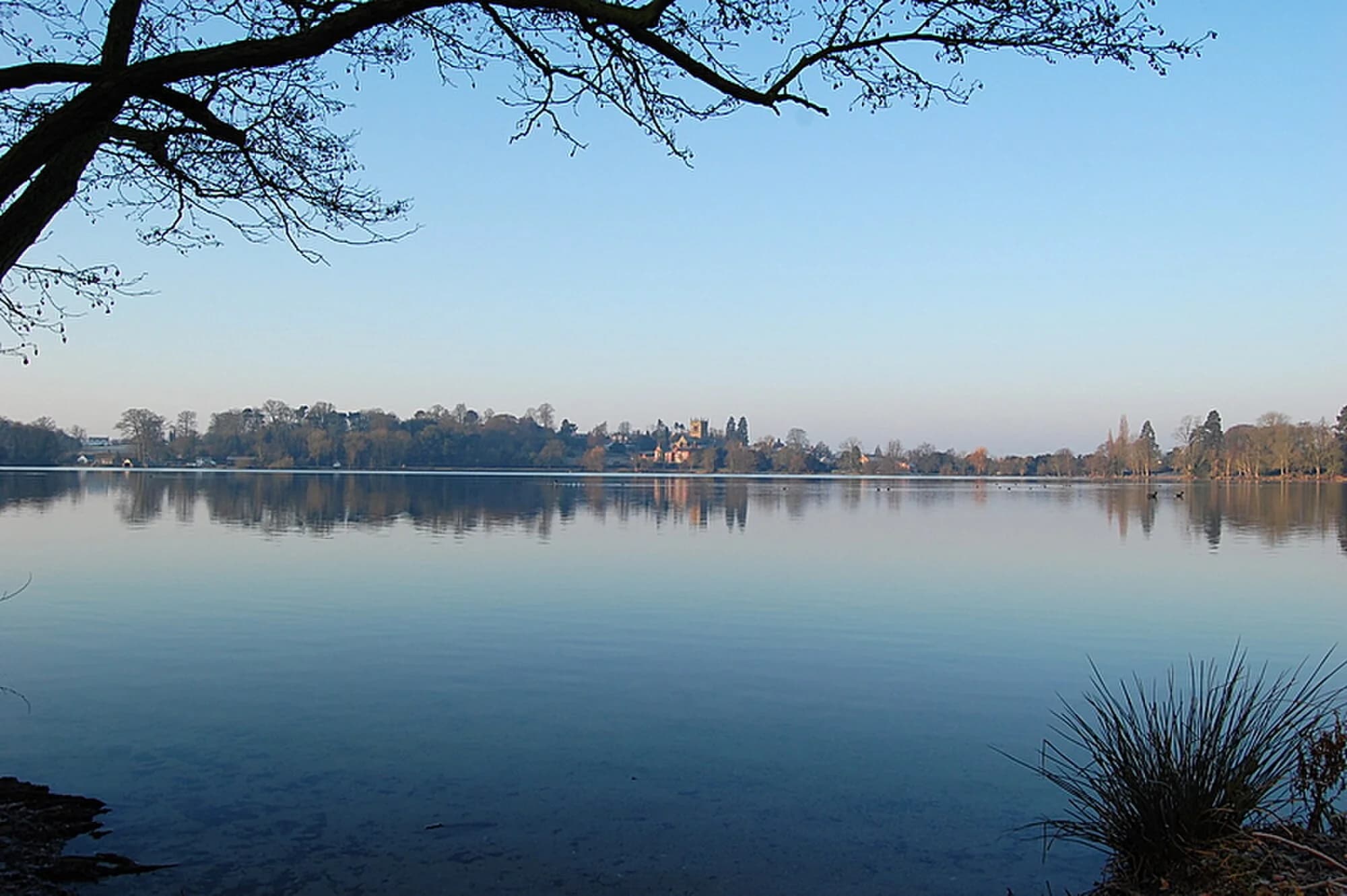 Vets in Ellesmere
