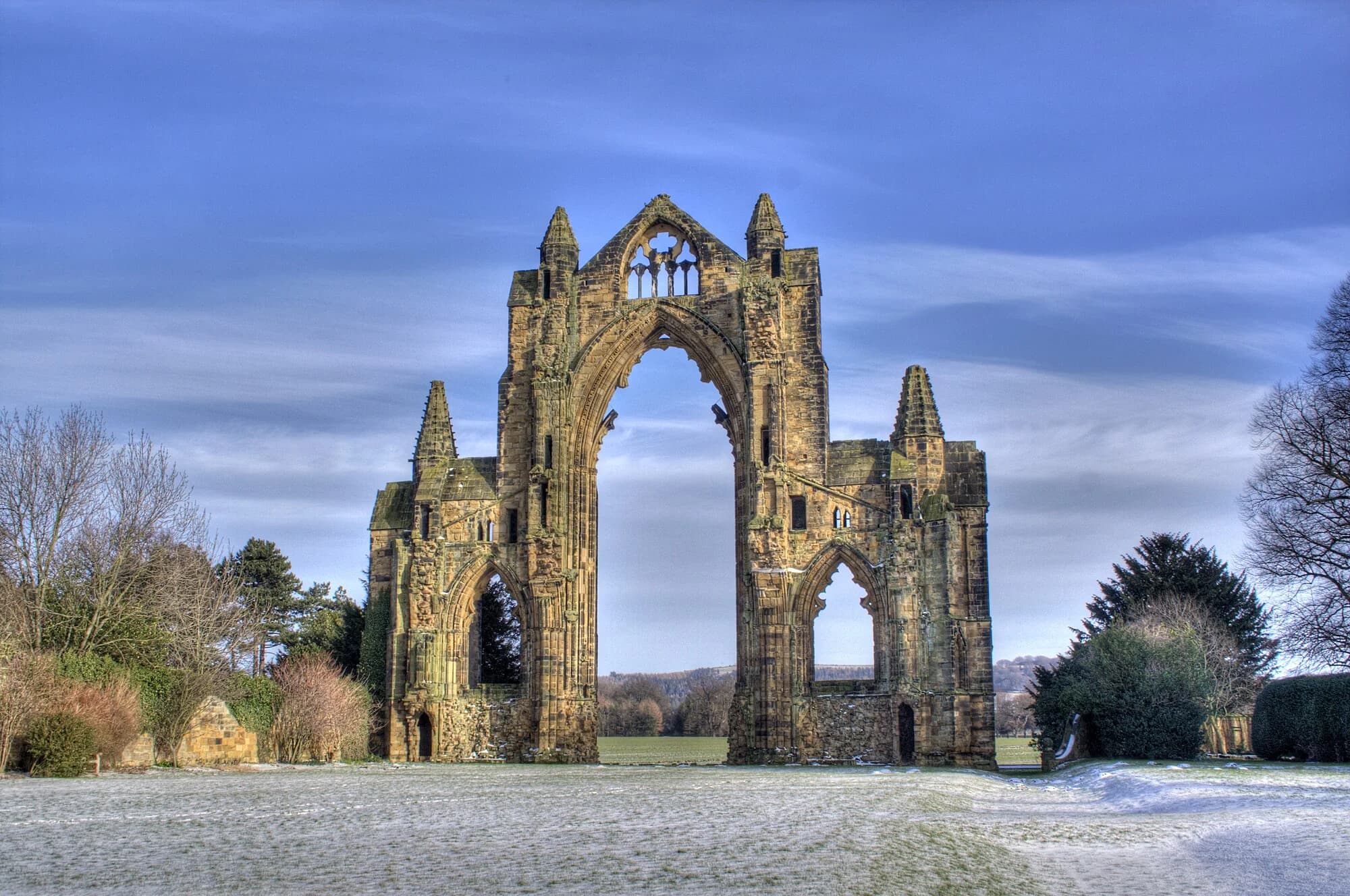 Vets in Guisborough