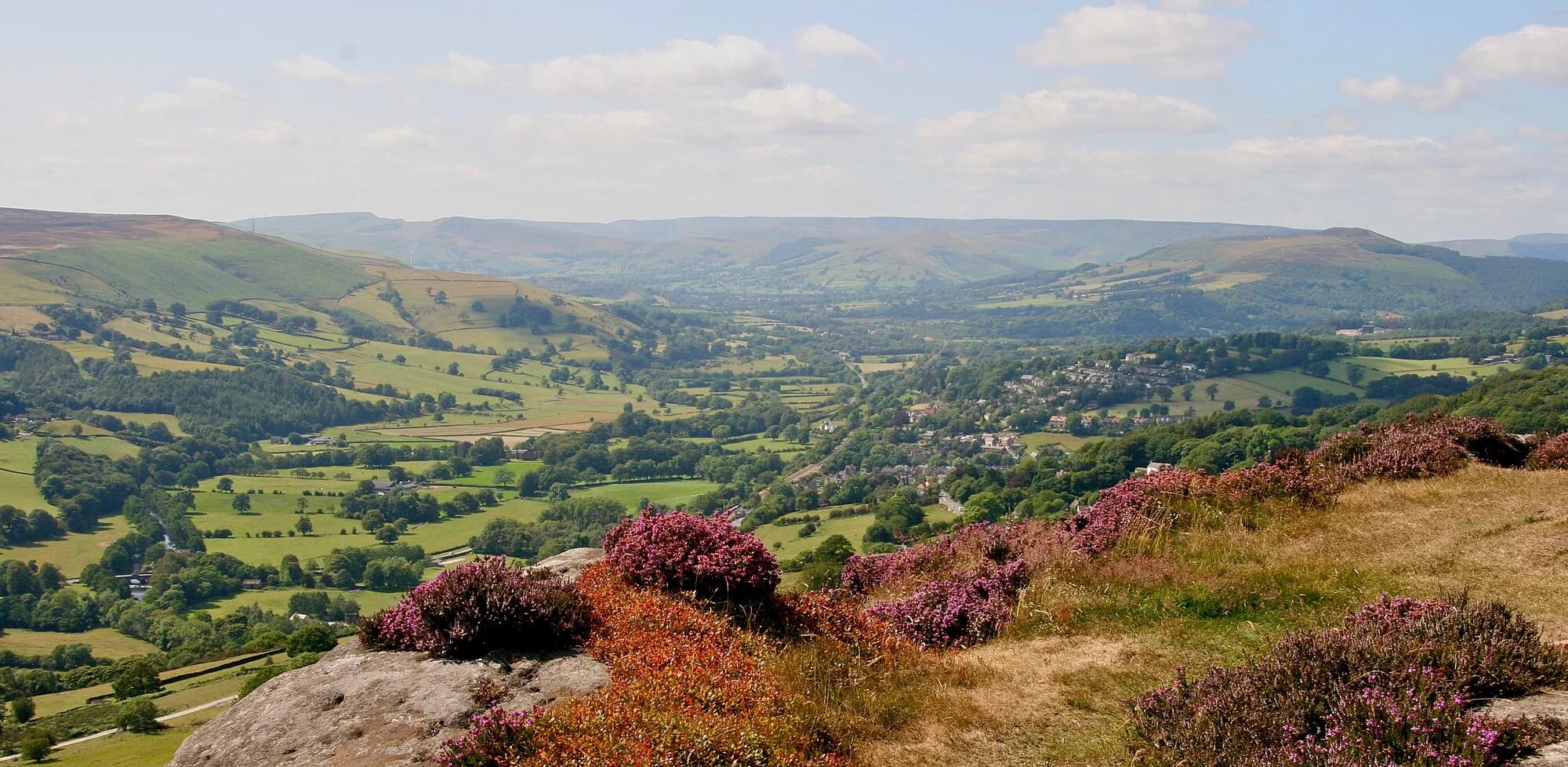 Vets in Derbyshire