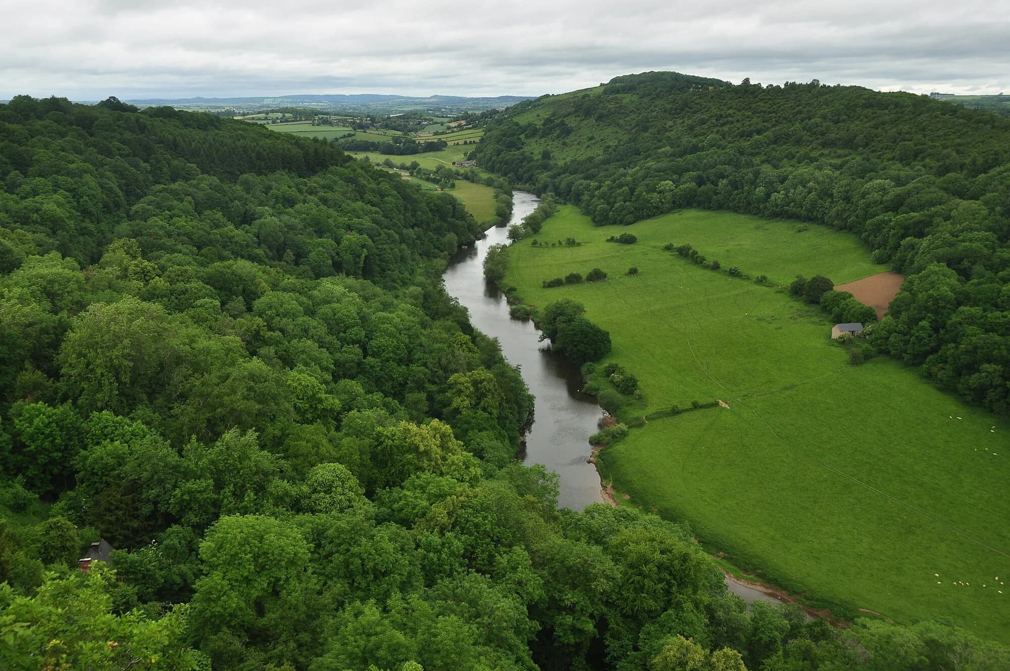 Vets in Herefordshire