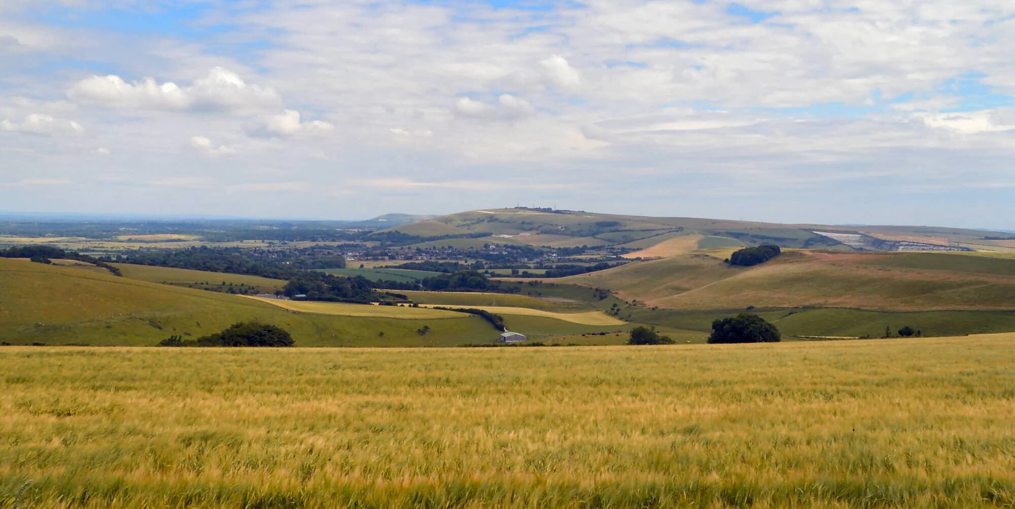 Vets in West Sussex