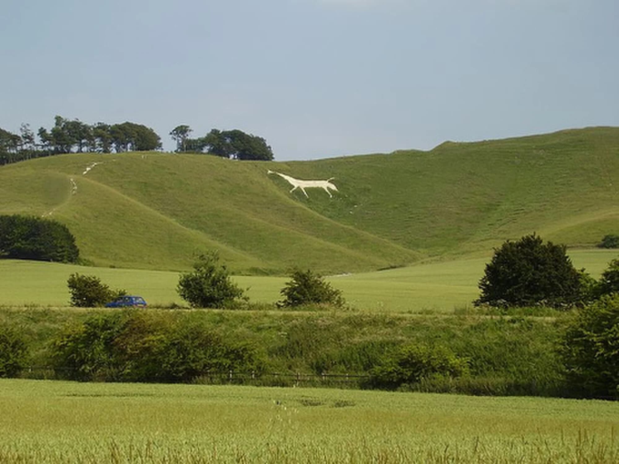 Vets in Wiltshire