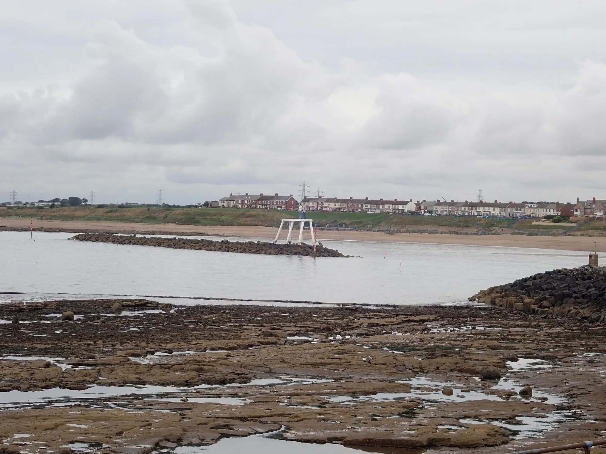 Vets in Newbiggin-By-The-Sea