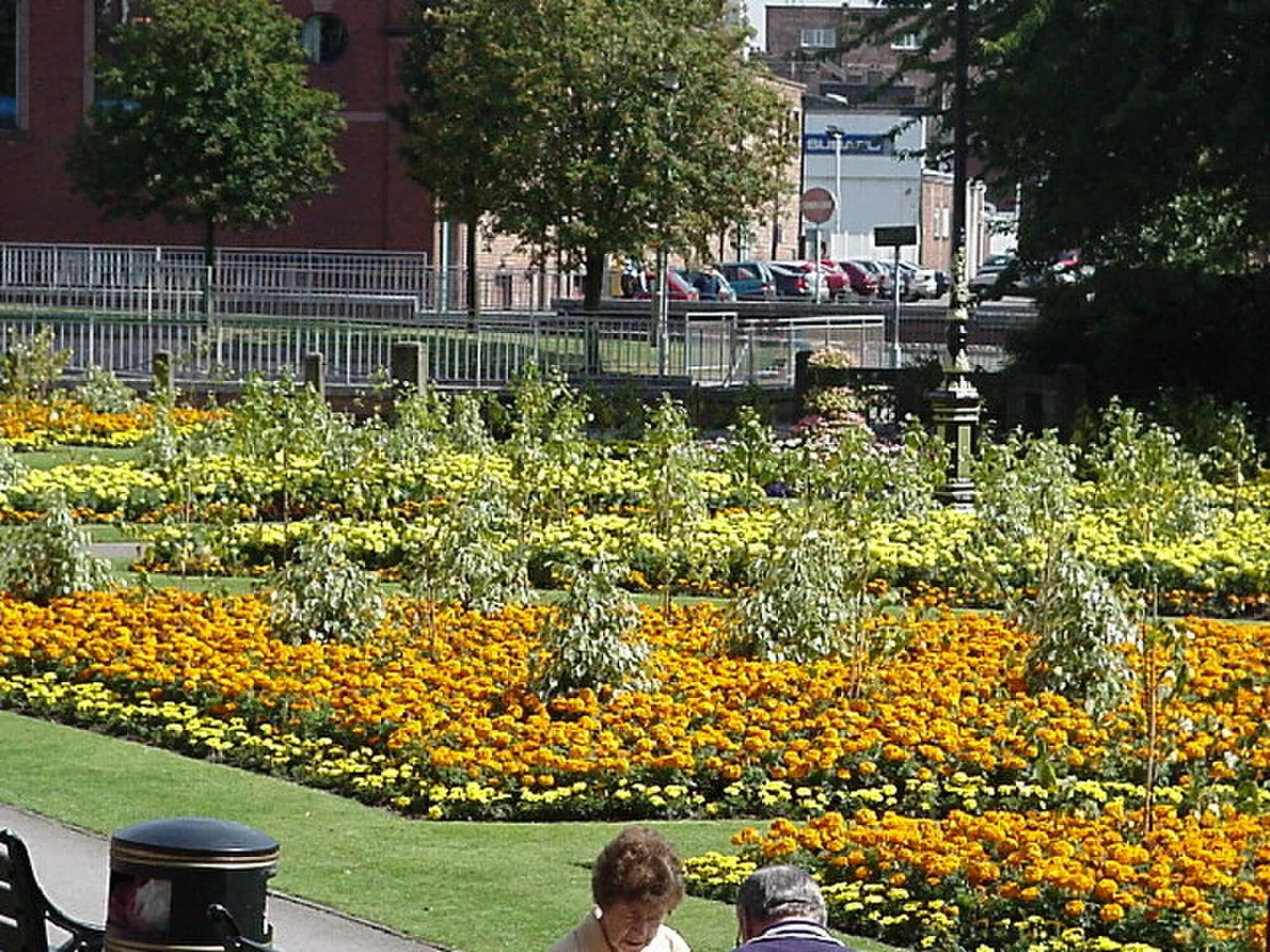 Vets in Newcastle-under-Lyme