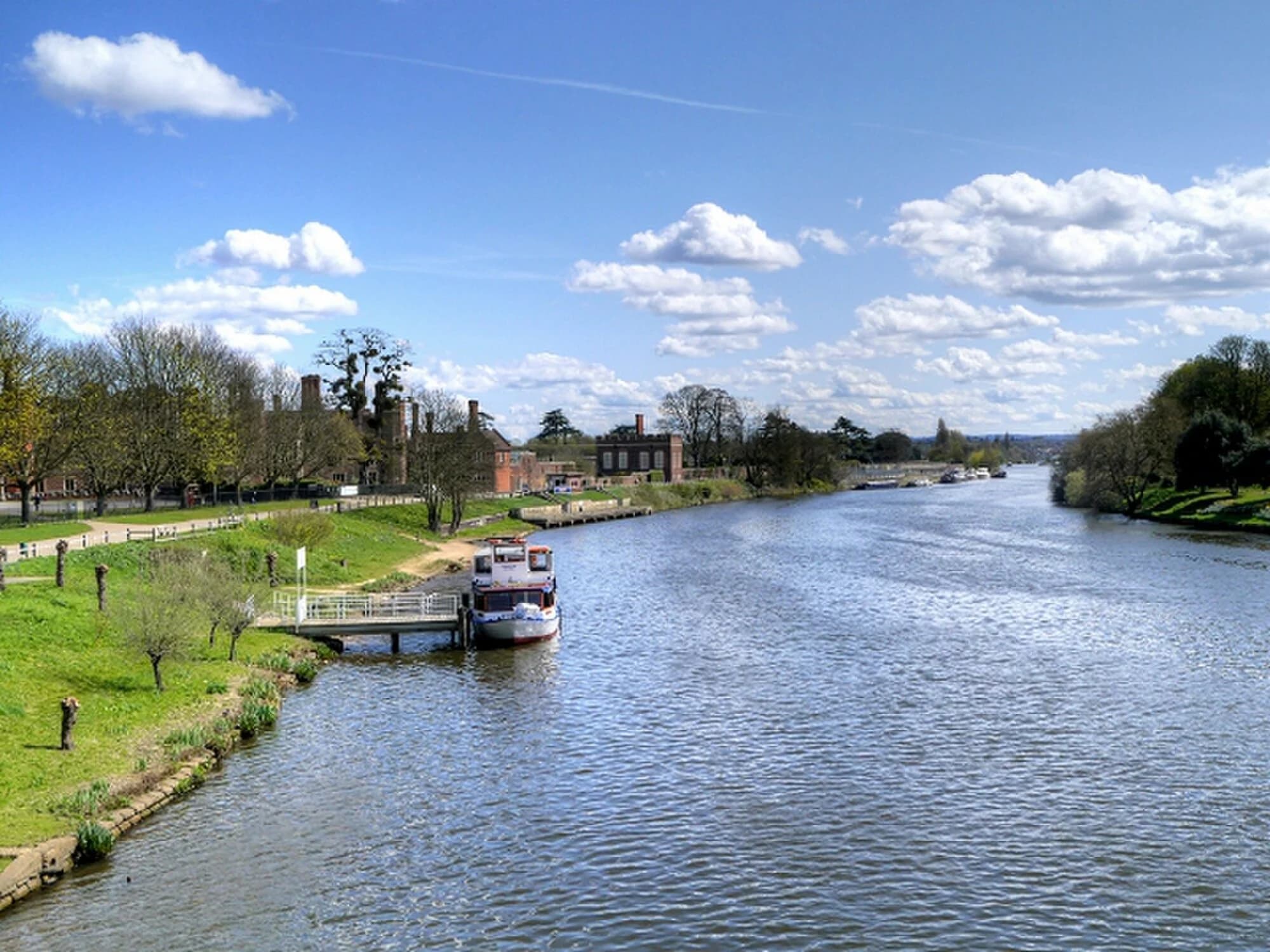 Vets in Richmond upon Thames